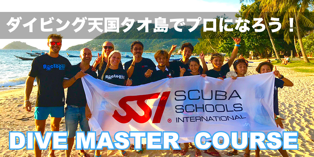 ダイブマスターコース